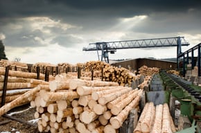 Lumber Prices Decline; What Does this Mean for Housing?